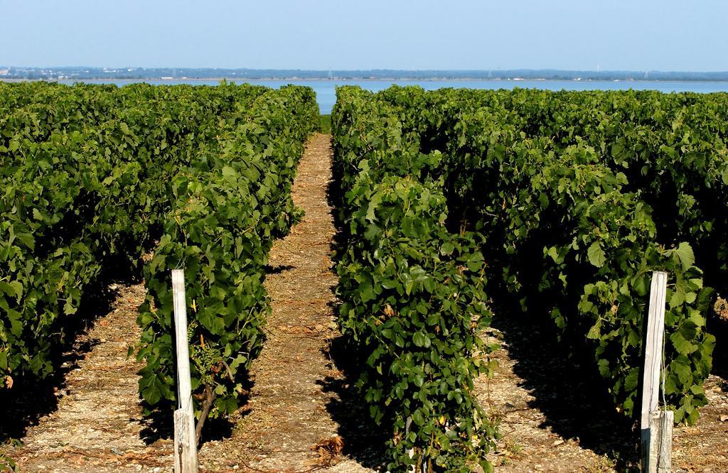 Vvf Soulac-Sur-Mer Bordeaux Medoc ภายนอก รูปภาพ